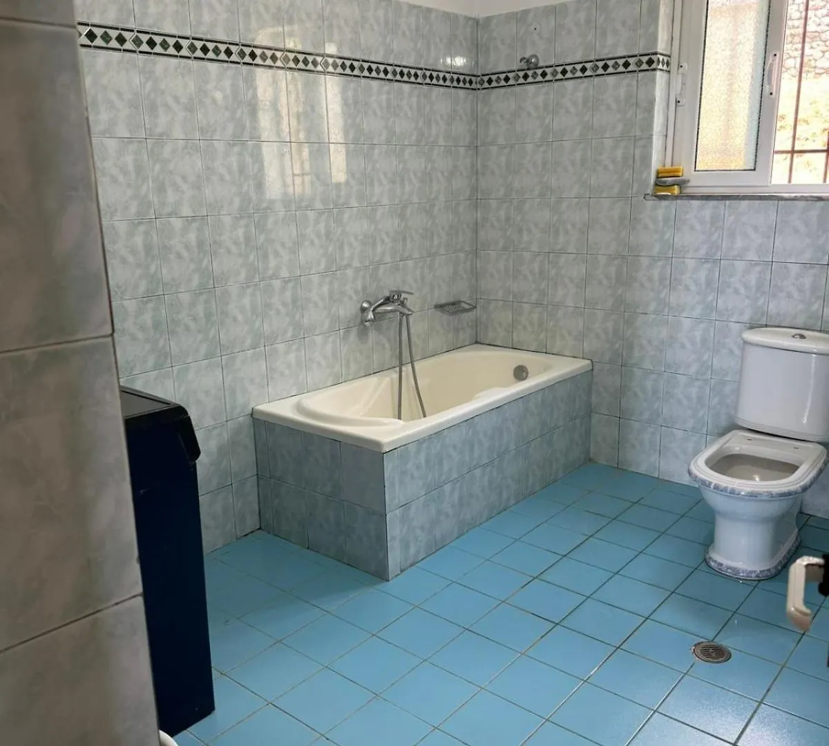 Tatil Evi Ari'S Guest House Borş